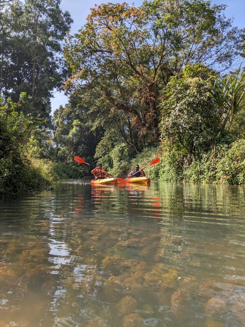 Nature Spot Cottages Coorg Kurchi Ngoại thất bức ảnh