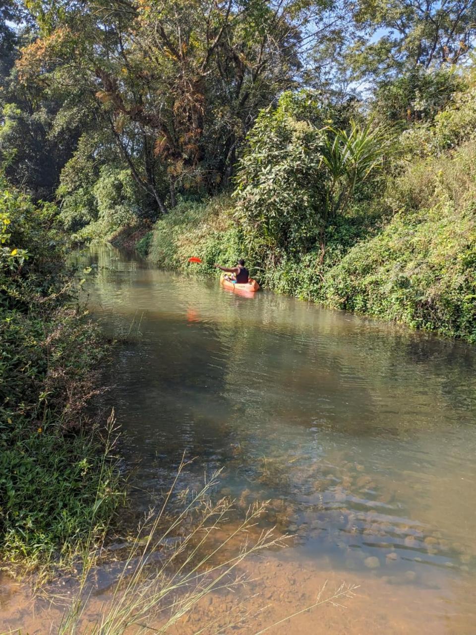 Nature Spot Cottages Coorg Kurchi Ngoại thất bức ảnh